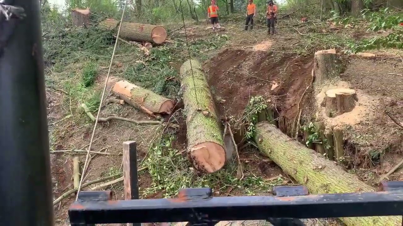 Tree Topping, Falling, Winching