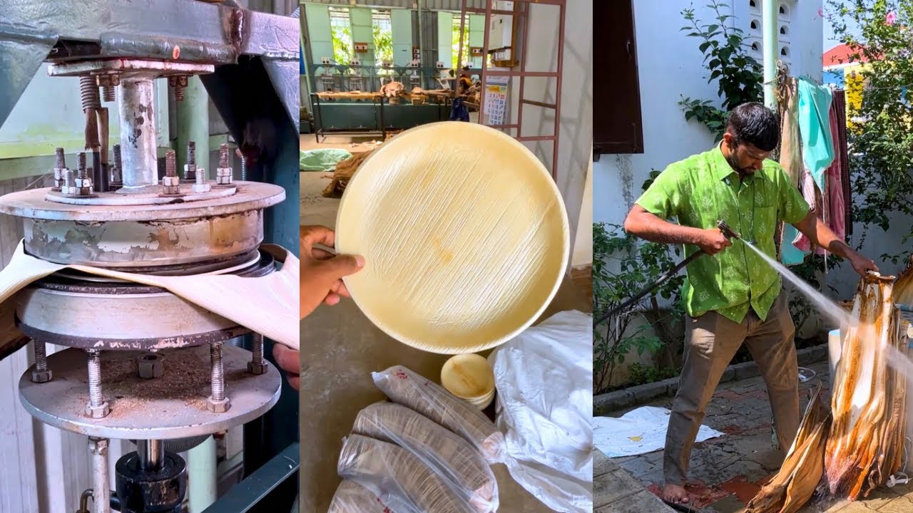 Transforming dried leaves into organic food plates #manufacturing