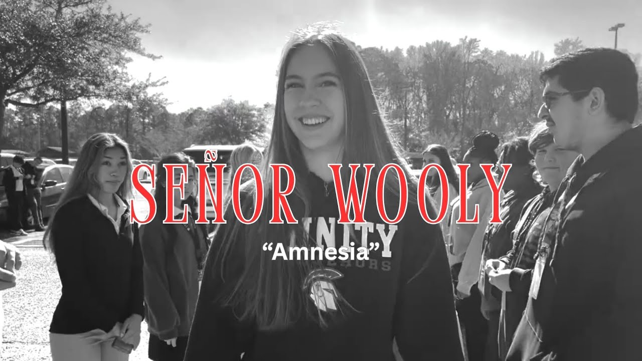 Señor Wooly Amnesia