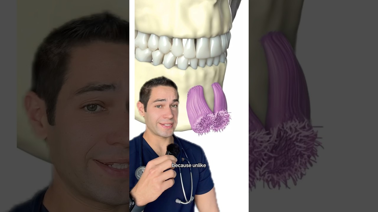 Doctor Reacts: bone beard?!