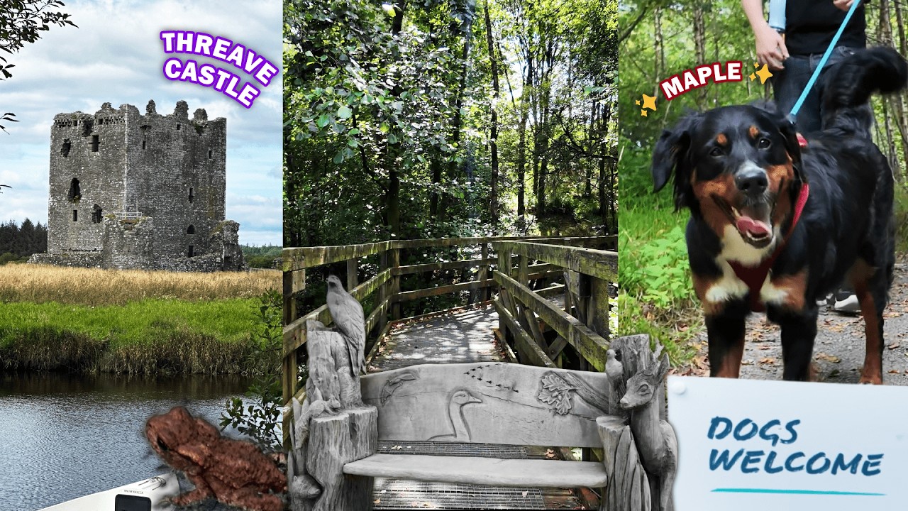 Exploring Threave Nature Reserve | Dog Friendly Castle Douglas Walk