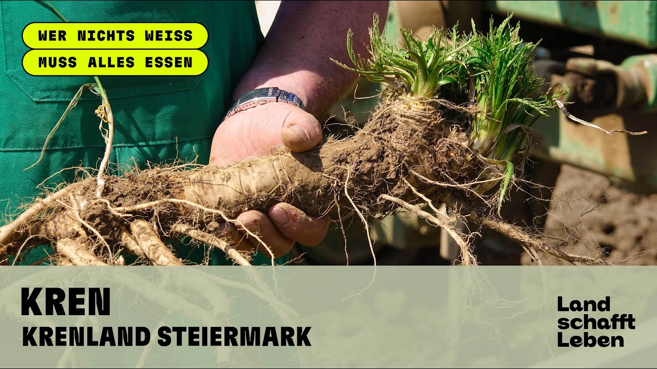 KREN (1/4) -  Krenland Steiermark