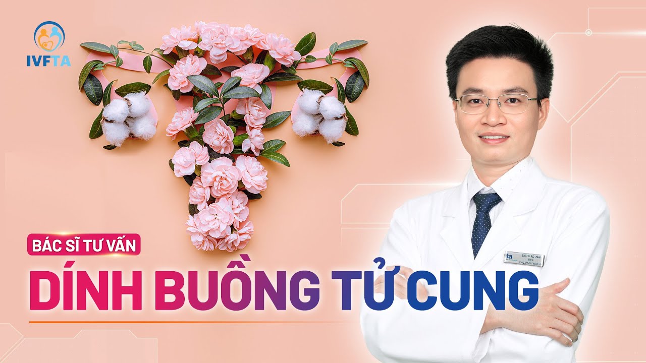 Dính buồng tử cung: Nguyên nhân, dấu hiệu, chẩn đoán và điều trị | BS.CKI Lê Đức Thắng | IVF Tâm Anh