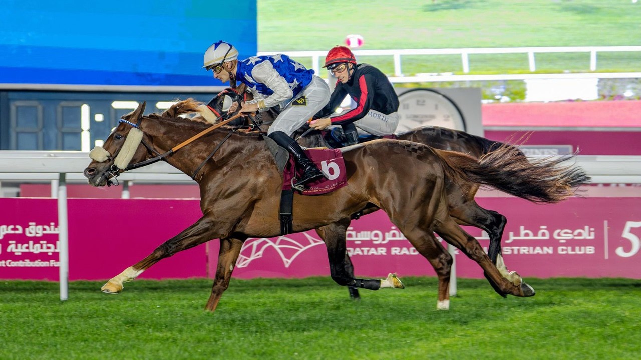 RM 53  Al Rayyan Race 4 -  Loyalty Cup