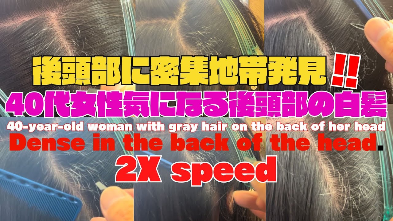 【白髪抜き動画】４時間掛けて全抜き白髪。1番多い後頭部１時間30分動画2倍速