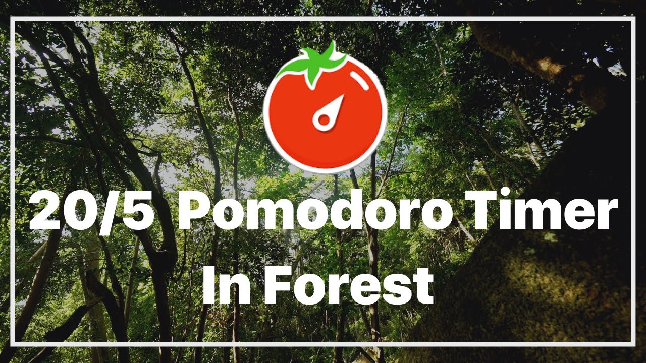 20/5 Pomodoro Timer | In Forest 🌳 | Ambience Nature Sounds
