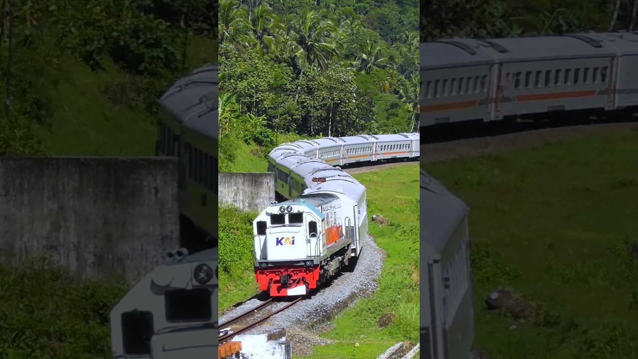 INDAHNYA SI ULAR PUTIH MERAYAP DI ATAS REL YANG BERKELOK#shorts #keretaapi