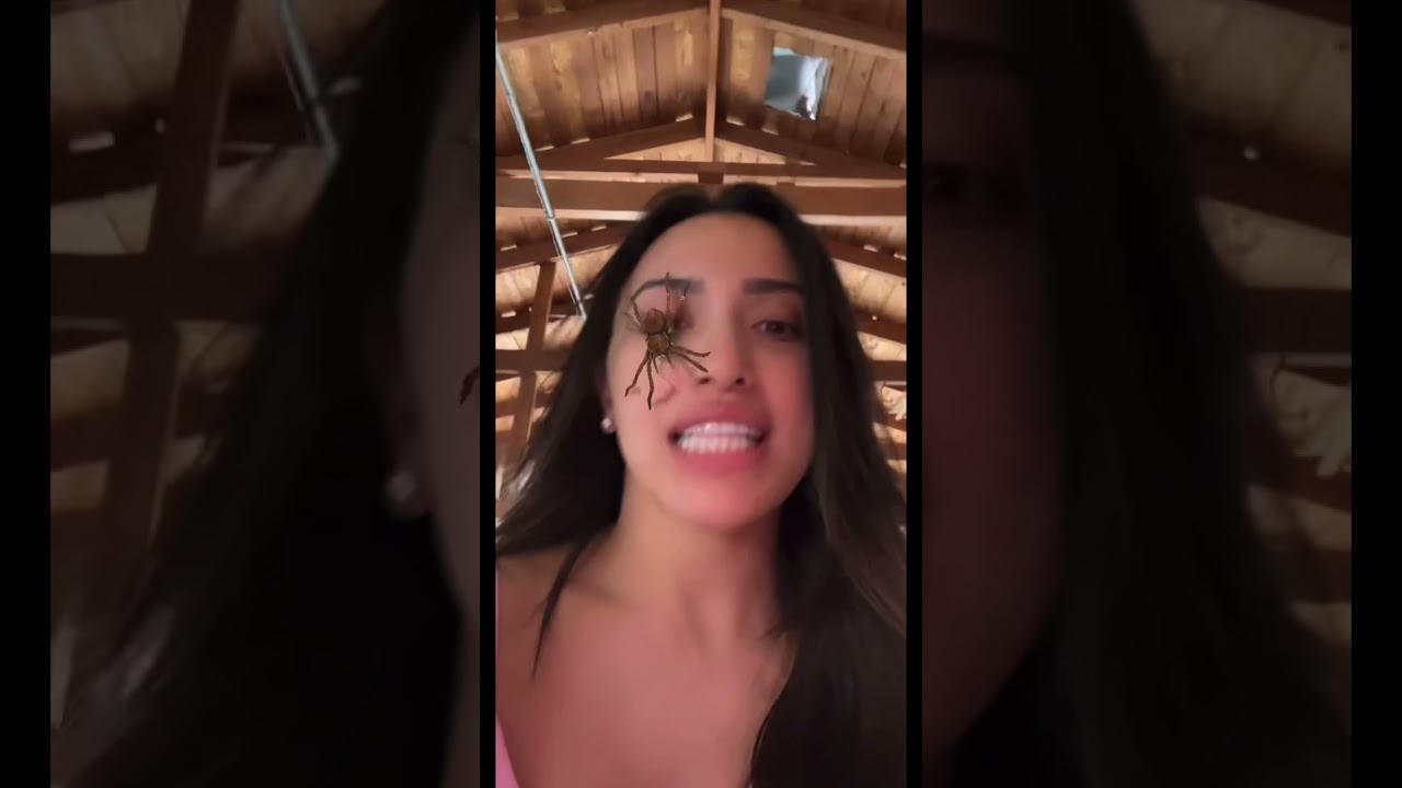 Spider filter prank on my boyfriend! 🤣😳 #shorts