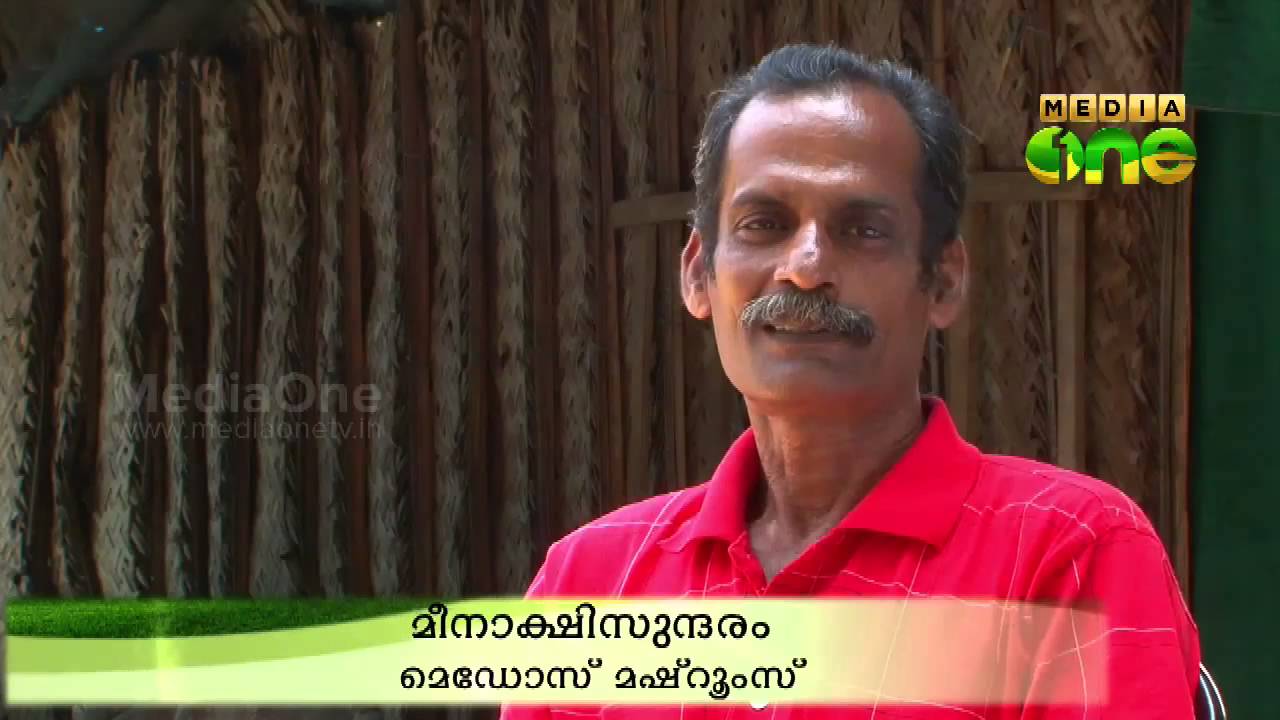 Njatuvela, Agricultural awareness - Oyster farming | കൂൺ കൃഷി (Part 1, Episode 05)
