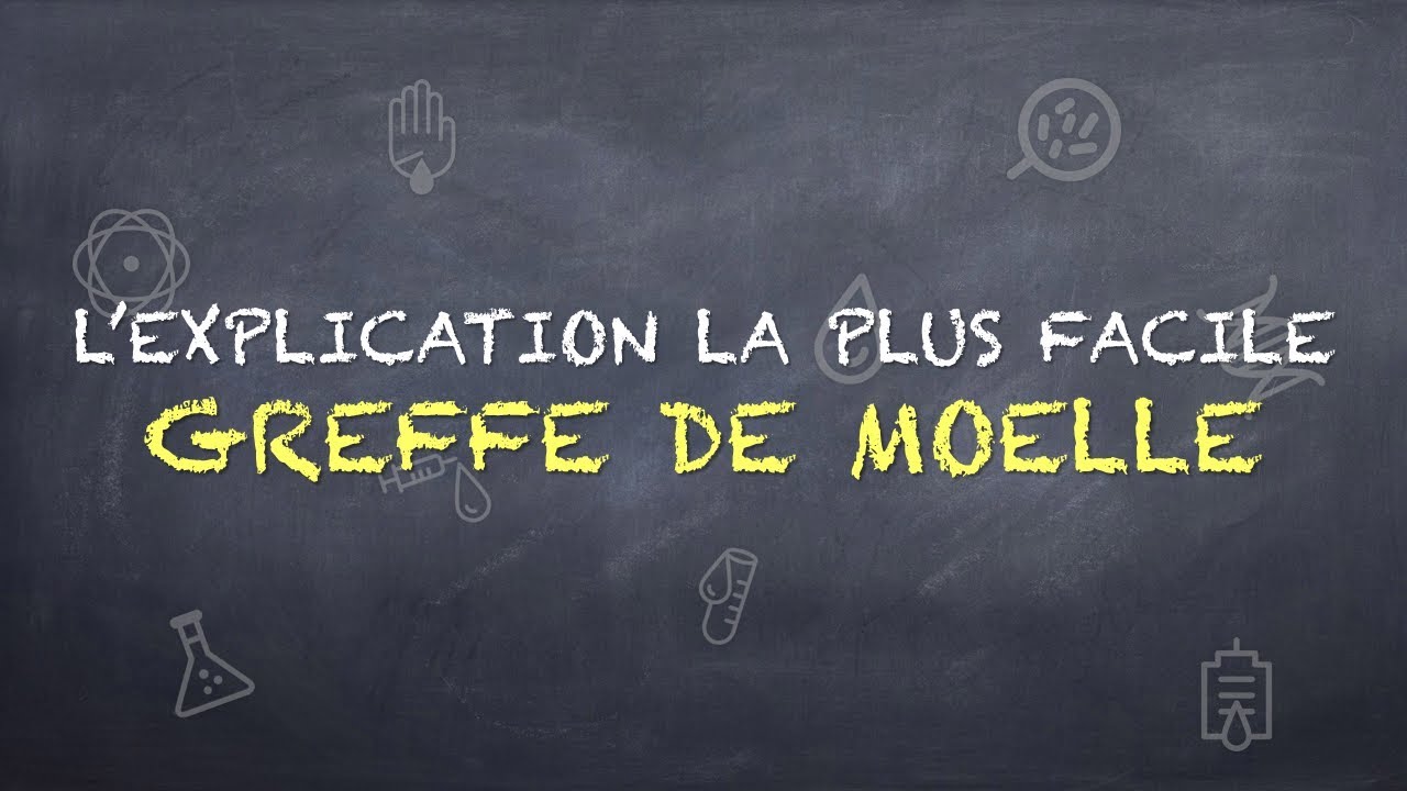 L'explication la plus facile de la Greffe de Moelle