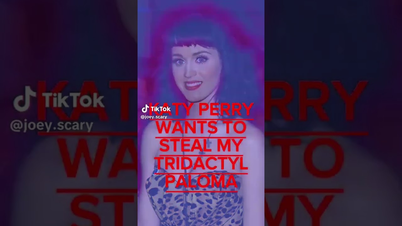 joey scary compilation