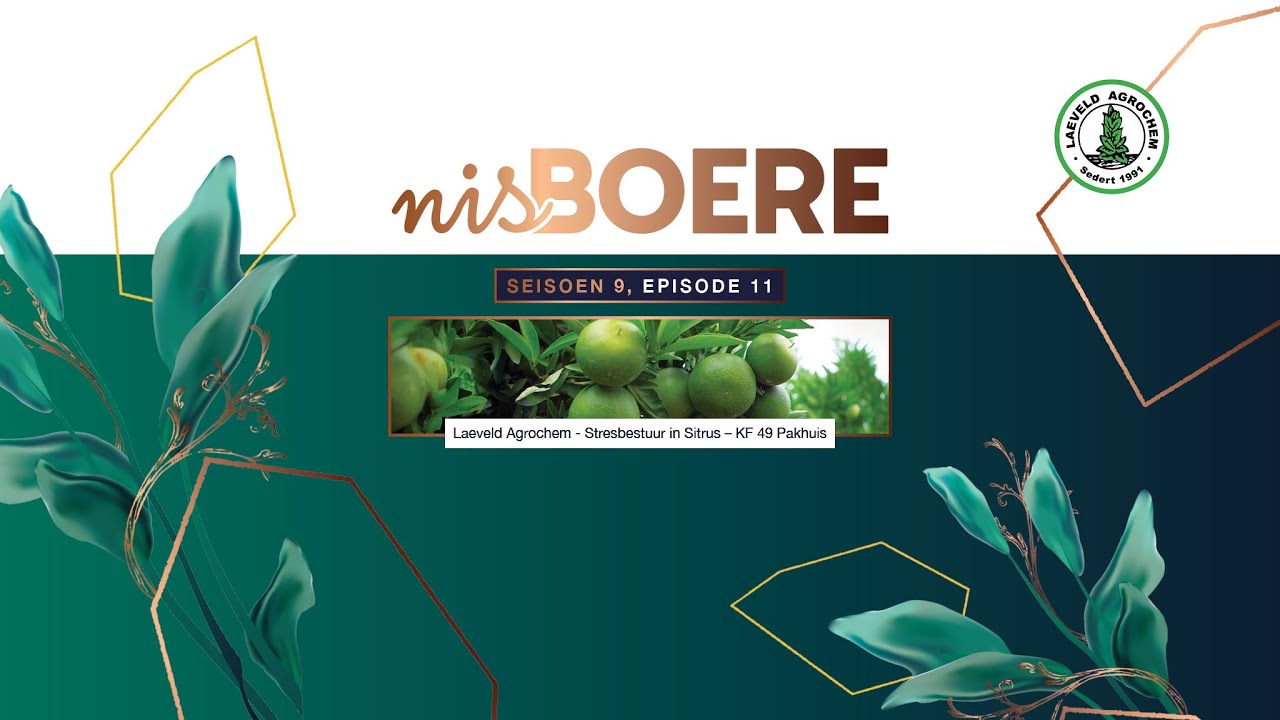 Nisboere 9 | Episode 11 – Laeveld Agrochem - Stresbestuur in Sitrus – KF 49 Pakhuis