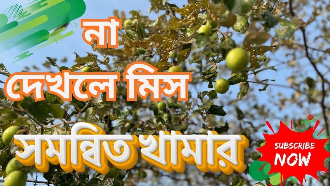 গ্রামবাংলা শুধু একটি স্থান নয়—এটি অনুভূতি, স্মৃতি আর শিকড়ের টান। সোহেল আহমেদ। Sohel Ahmed