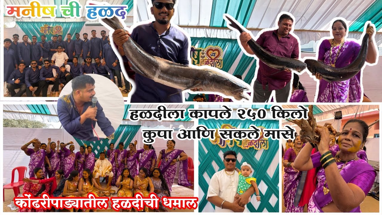 मनीष ची हळद ❤️ हळदीला कापले 250 किलो कुपा आणि सकला मासा / कोंढरीपाड्यातील धमाल ❤️ आगरी हळद 💥💥