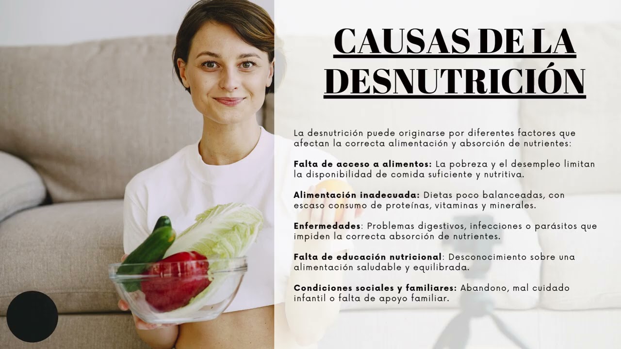 Presentación alimentación y nutrición (Infórmate sobre ellos )