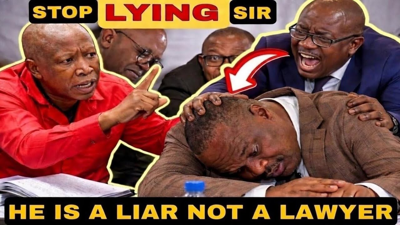 WATCH: Nkosi Nearly STRANGLED | Clash Between Adv. Chaskalson and Lawyer at Madlanga Commission