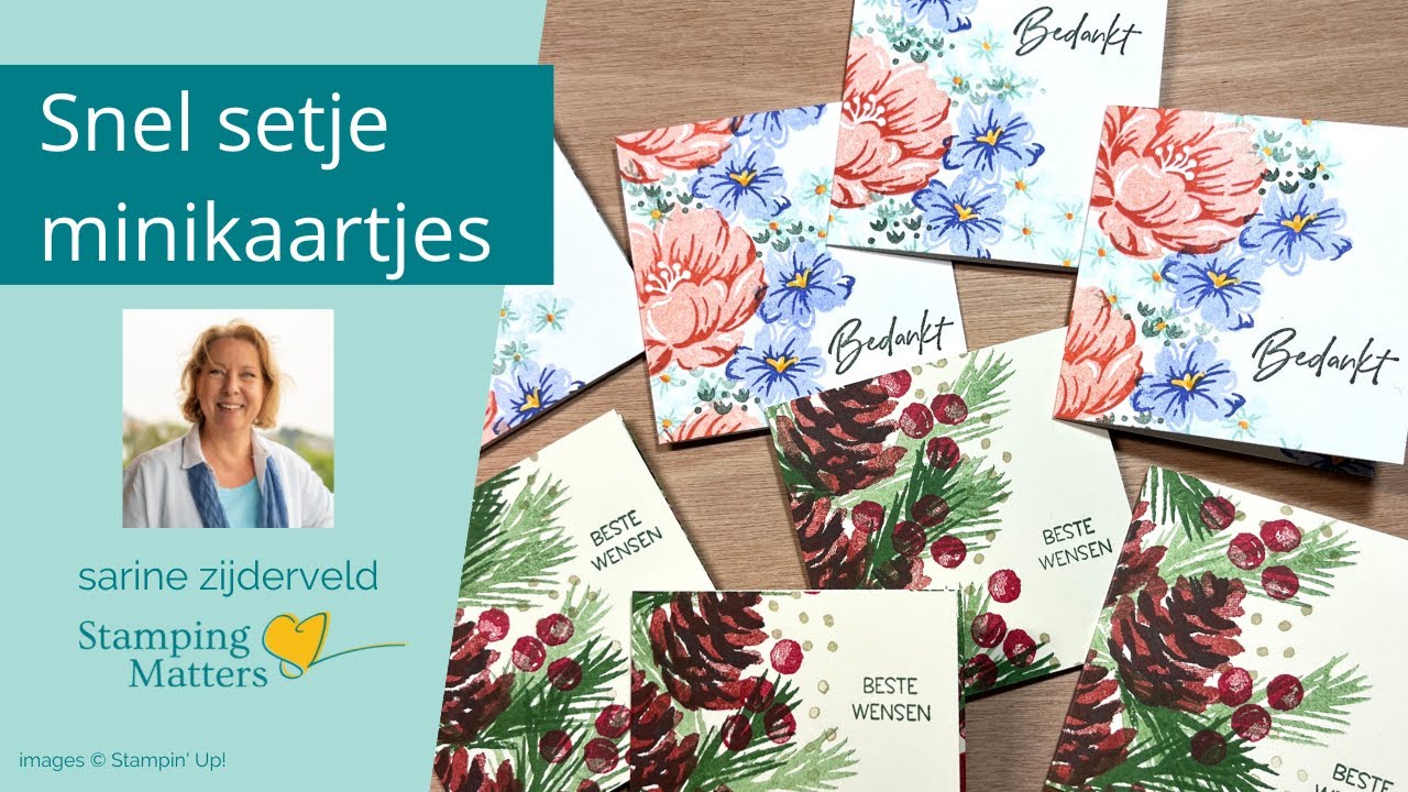 Cadeauset: snelle kaartjes in 3 varianten + envelop en doosje | Quick card set using Two-Tone Flora