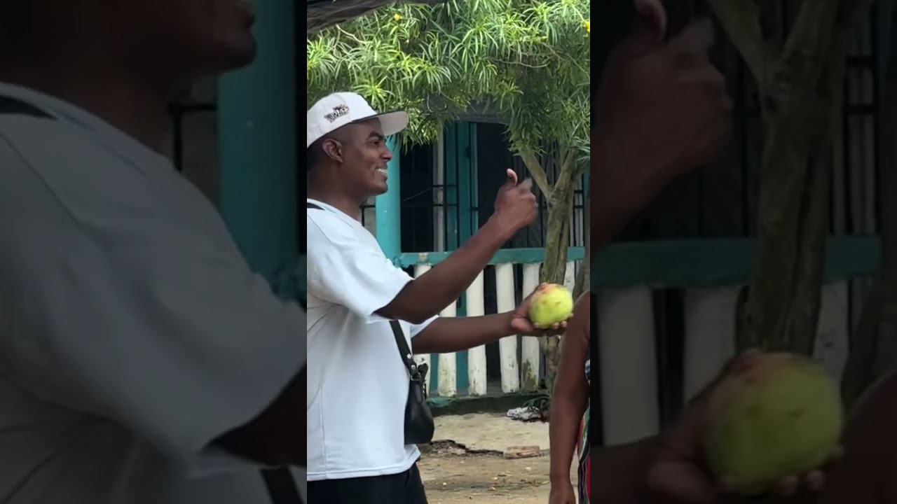 Las naranjas 🍊 😂