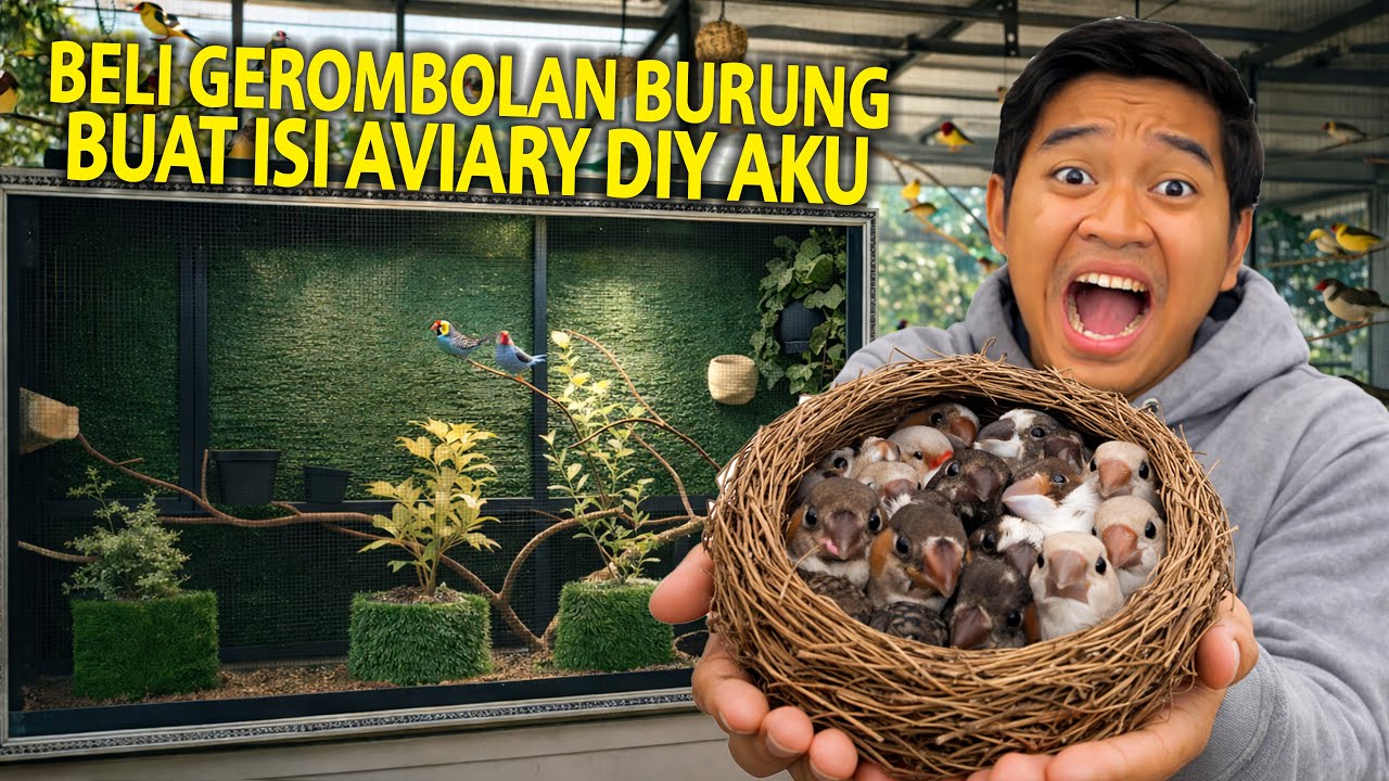 BELI SEGEROMBOLAN BURUNG BUAT ISI AVIARY DIY AKU! BLUSUKAN DEMU BELI HEWAN INI!