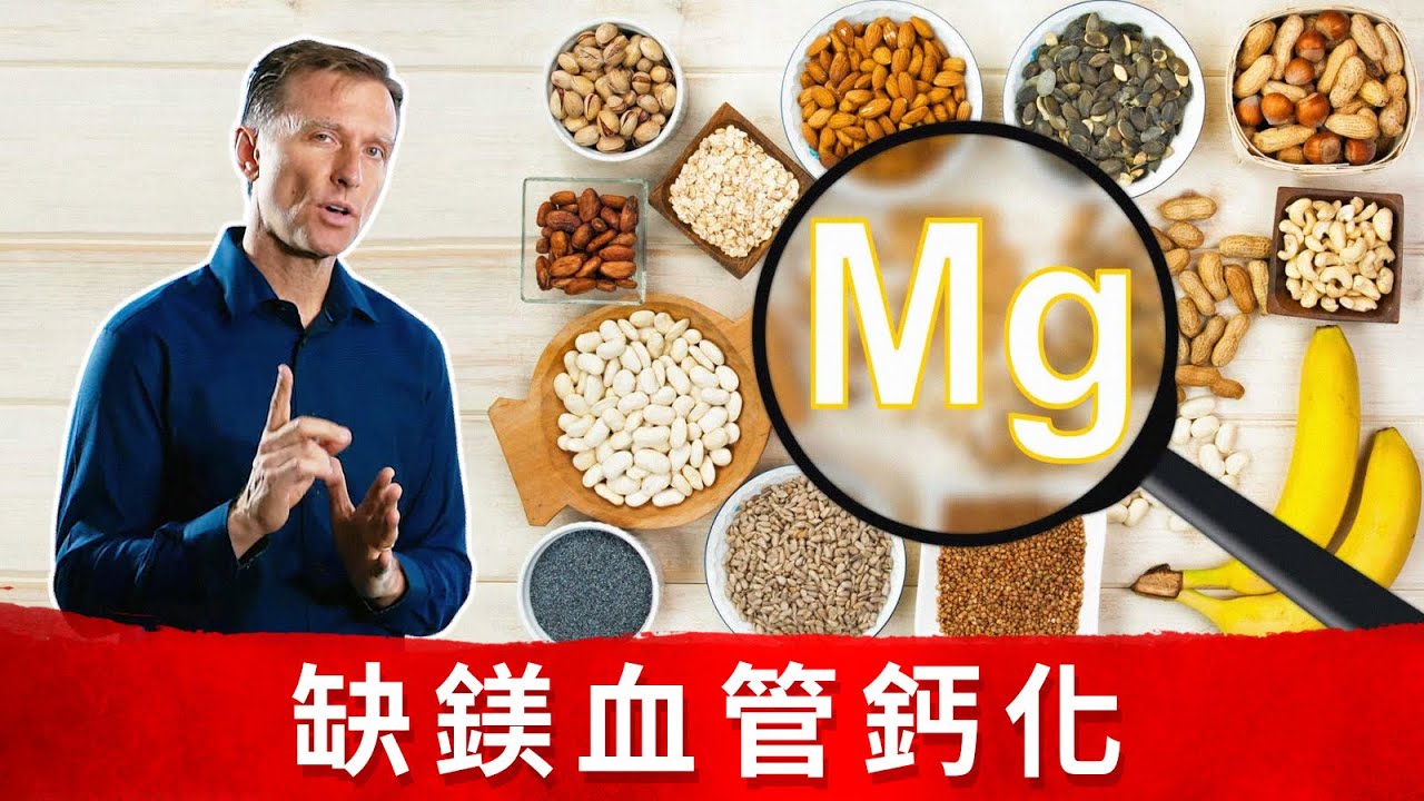 (血管4) 缺鎂：血管鈣化,肌肉抽筋,能量不足,骨質流失,礦物質自然療法,柏格醫生 dr berg