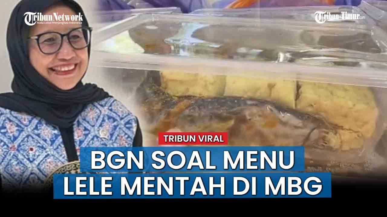 HOT ISSUE; BGN Klarifikasi Video Viral Lele Mentah di MBG Pamekasan, Sebut Menu Sebenarnya Lengkap