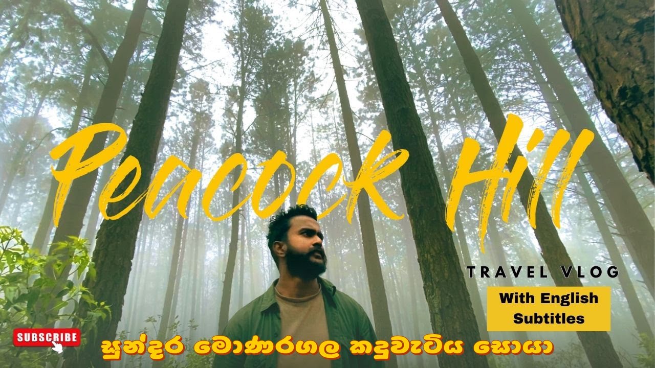 Peacock Hill Travel Vlog | වැස්ස කාලෙටනම් යන්න එපා ❌  | මොණරගල🦚