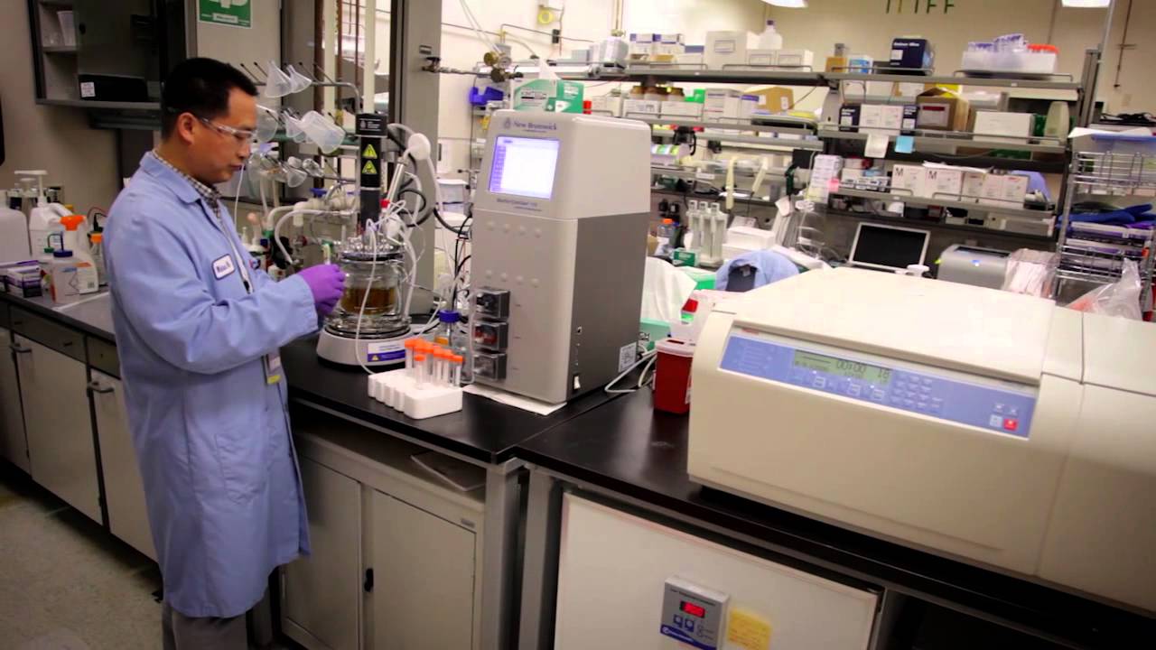 Sandia's Biofuels Program