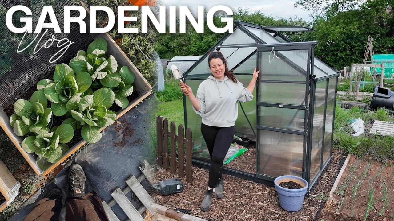 Garden Centre, Allotment Tour, Veg I'm Growing & My New Greenhouse! | GARDEN WITH ME UK