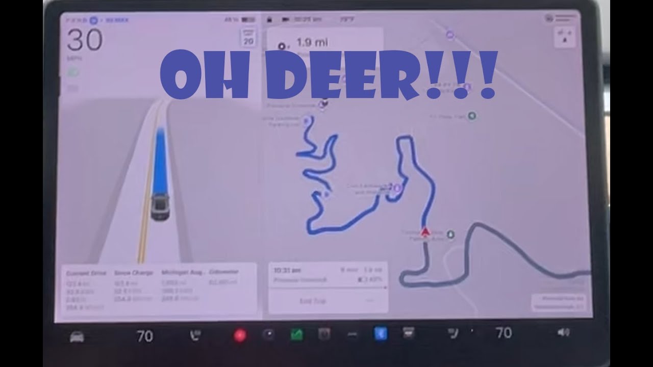 Tesla FSD on a Twisty Mountain Road - I Was Surprised What My Mom Rated It!