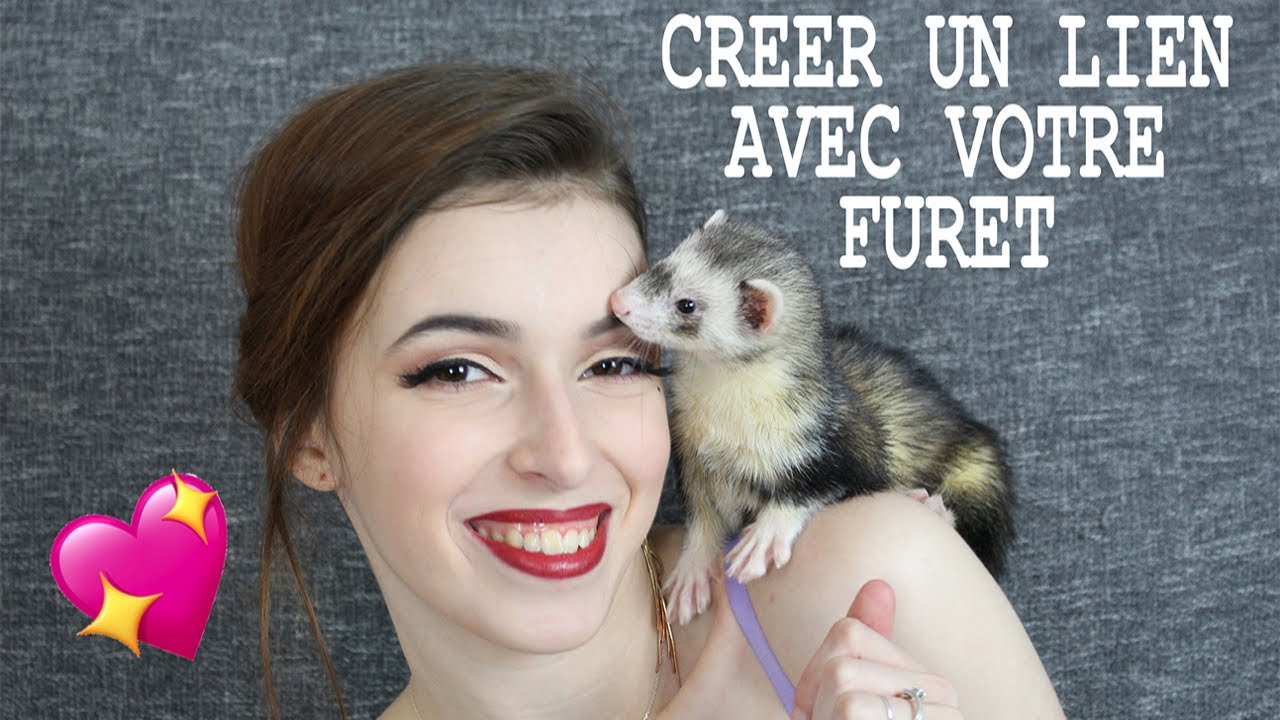 CRÉER UNE COMPLICITÉ AVEC SON FURET