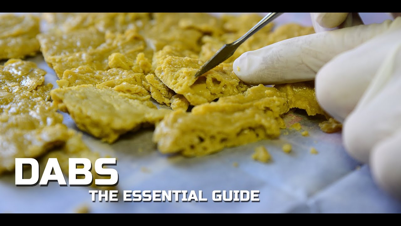 🍀 The Different Types Of Cannabis Concentrates 🔥 Wax, Shatter & Live Resin Batter💨 (Extract Science)