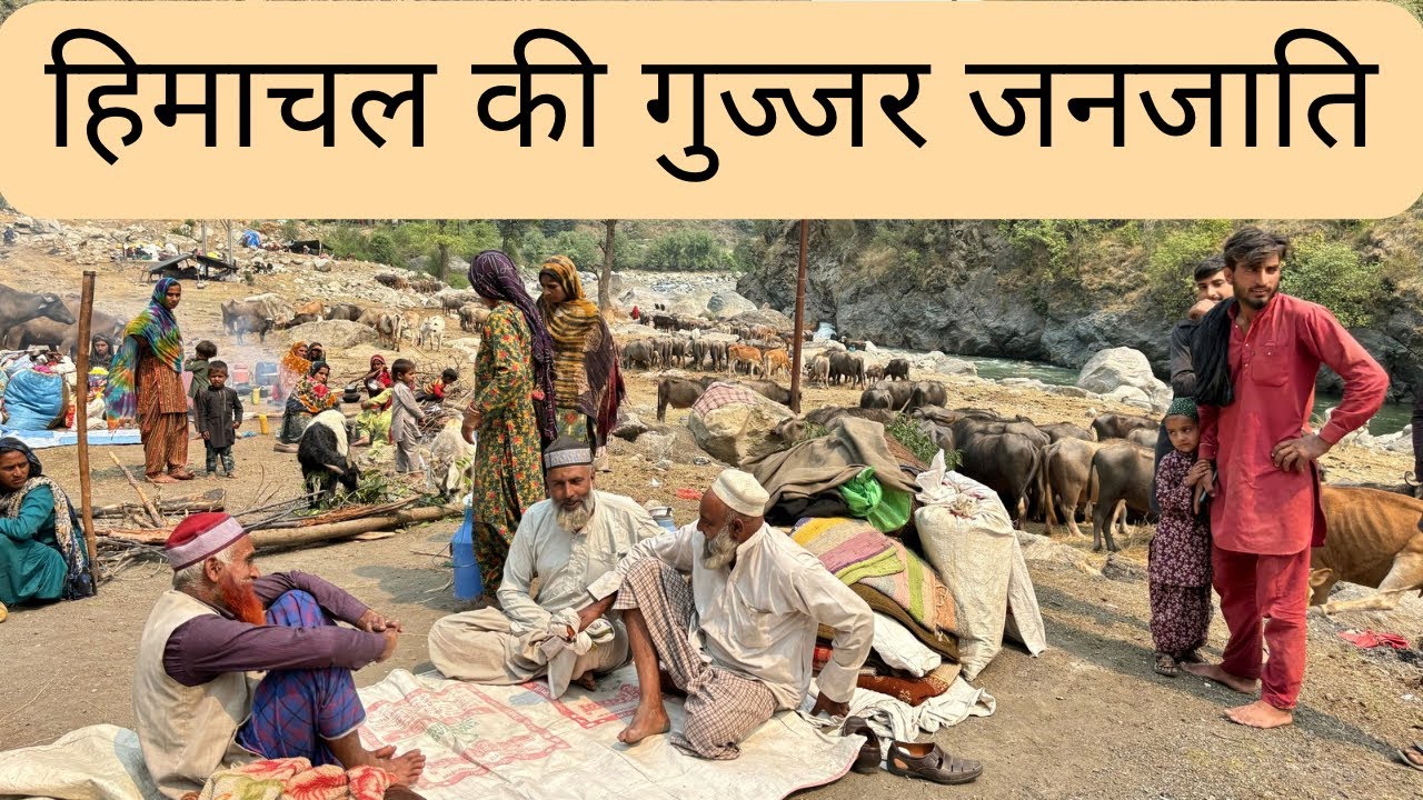 Life of the Nomadic Gujjar Tribe of Himachal | हिमाचल की गुज्जर जनजाति का जीवन | The Young Monk |