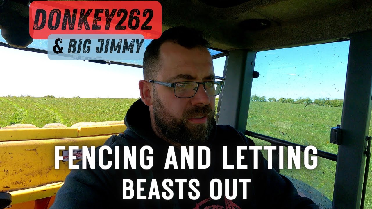 DONKEY262 - Fencing and letting a few Beasts out