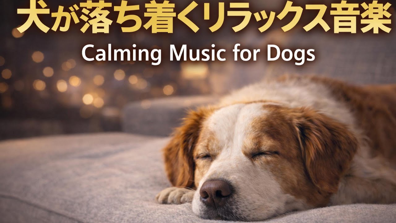 犬が落ち着くリラックス音楽｜Calming Music for Dogs