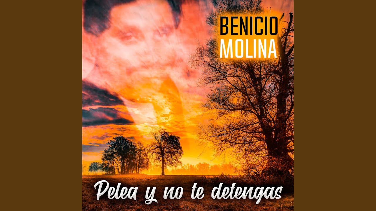 Pelea y No Te Detengas