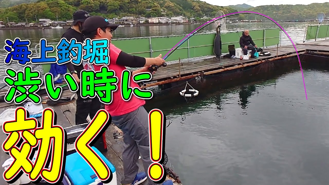 海上釣り堀≪実釣編≫ 手作りエサが効く！～巨大ブリとの死闘～ 朝一のモーニング対策、釣り座の選び方