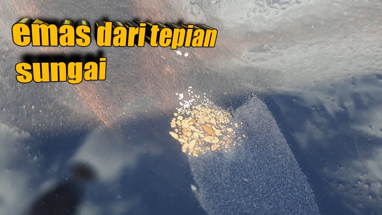 Tepian sungaipun ada emasnya || pendulang emas di sungai 