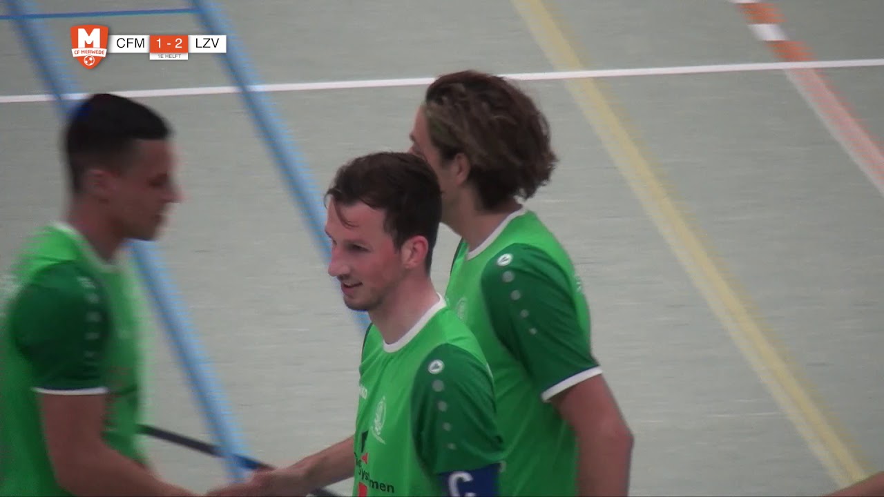 Samenvatting CFM/Transito - LZV/Kuypers H&W 2018/2019