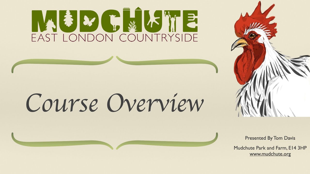 Mudchute Chicken Keeping Course Overview