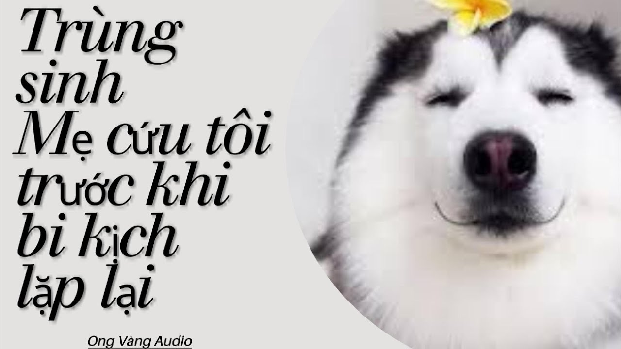 TRÙNG SINH MẸ TÔI TRƯỚC KHI BI KỊCH LẶP LẠI