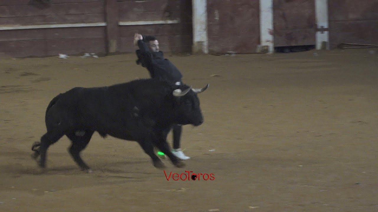 Ciudad Rodrigo 2024  Capea del lunes, Los Bayones