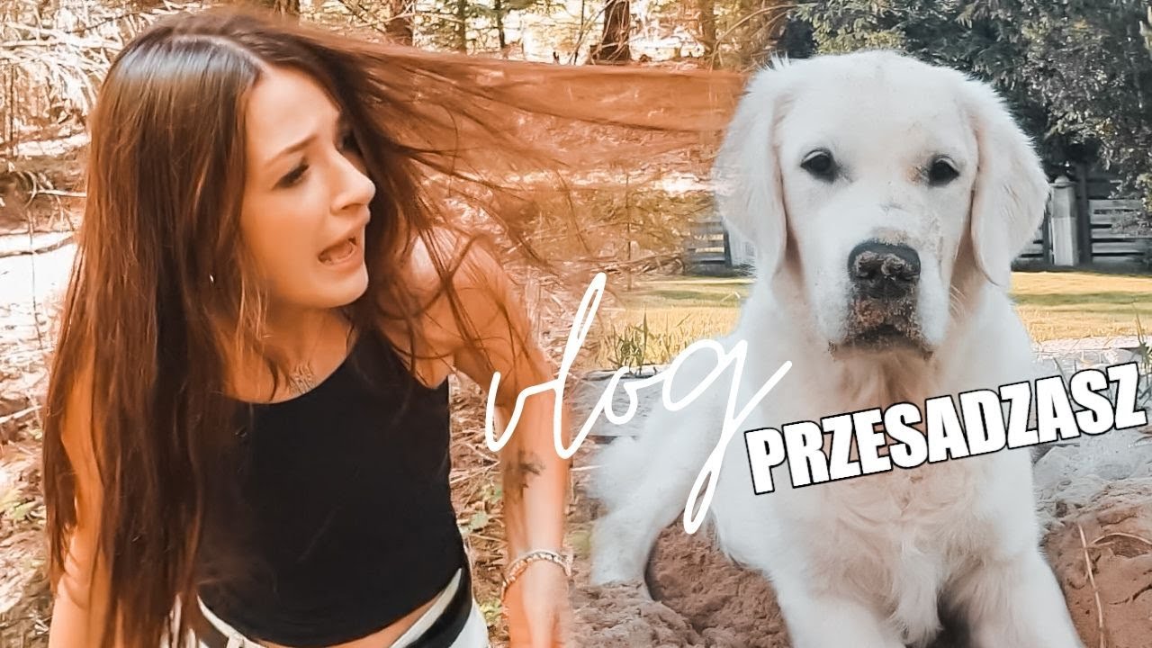 PONISZCZYŁ DOMEK W GÓRACH!