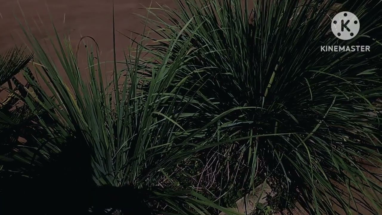 yuav kev tso tau qub dab neeg lawm xwb os