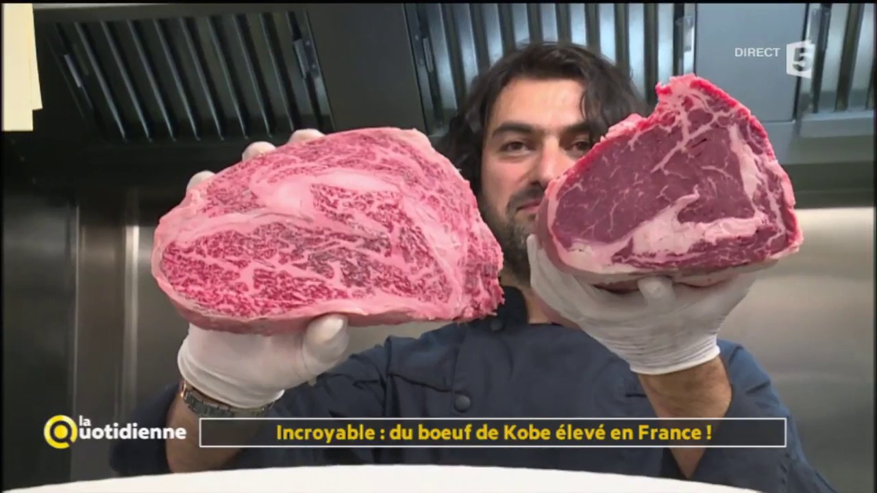 Incroyable : du boeuf de Kobe élevé en France ! - La Quotidienne