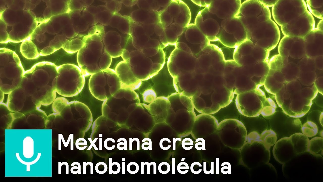 Mexicana crea nanobiomolécula  capaz de eliminar virus y bacterias - Al Aire con Paola