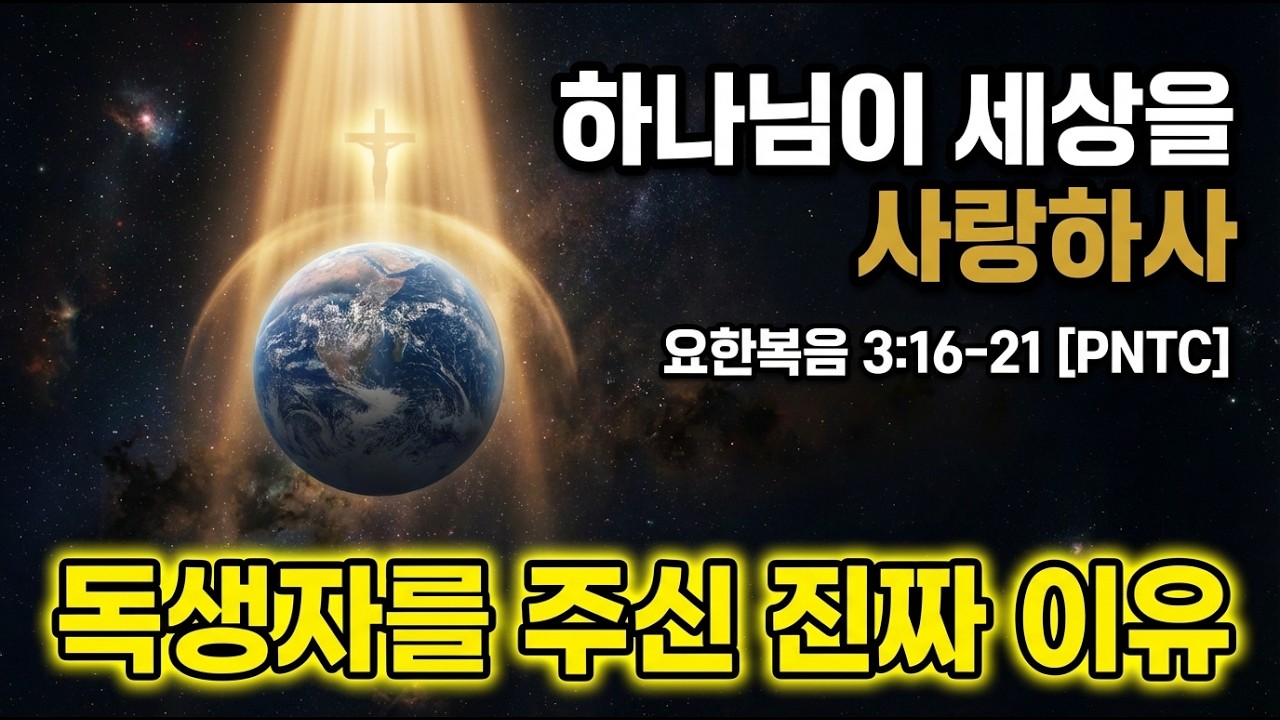 성경 전체를 한 문장으로 요약한다면? 요한복음 3:16의 위대한 선언 (요 3:16-21) | PNTC & NotebookLM #하나님의사랑 #독생자 #영생 #구원