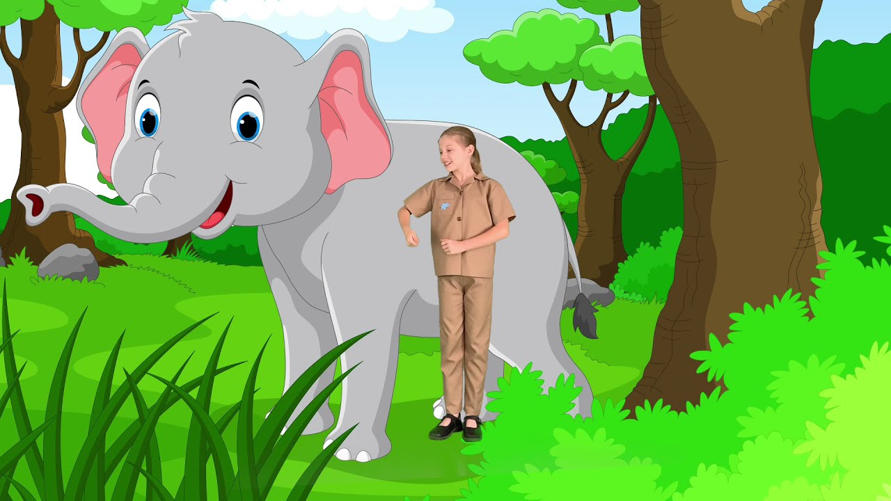 I Am a Little Zookeeper | Elephant Song For Kids | Action Song For Kids | Animals | Time 4 Kids TV
