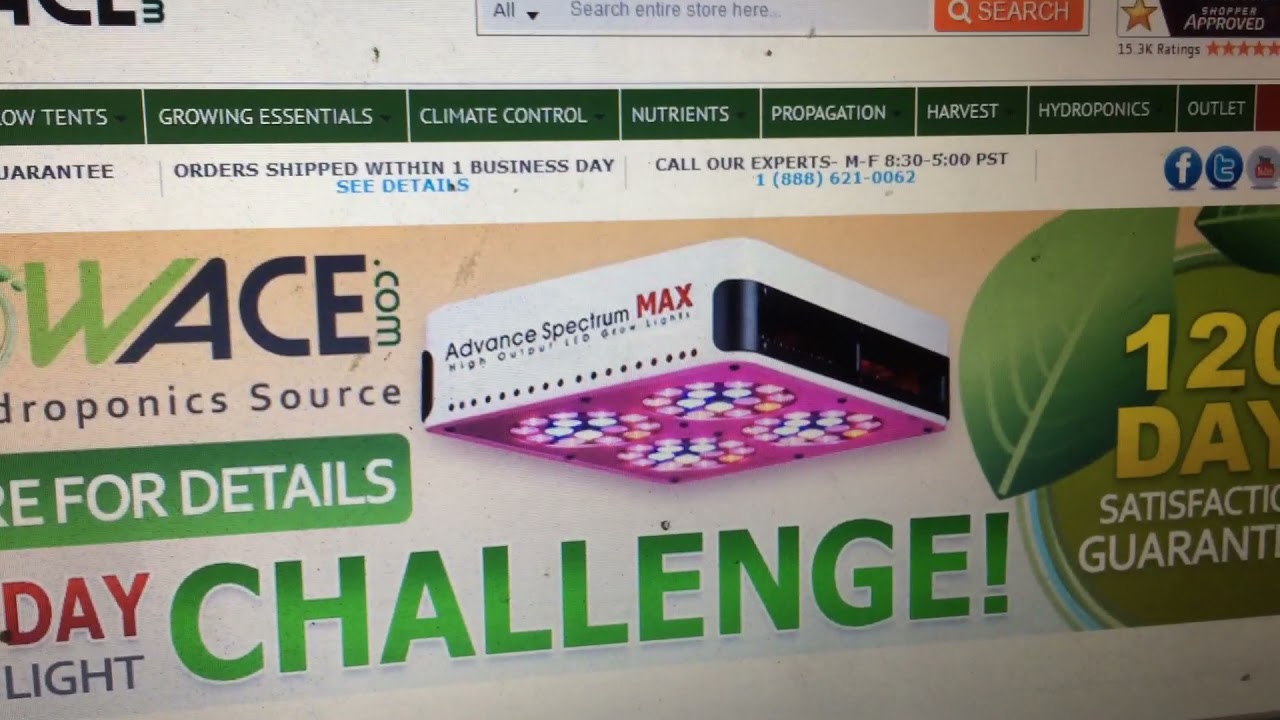 growace.com website review