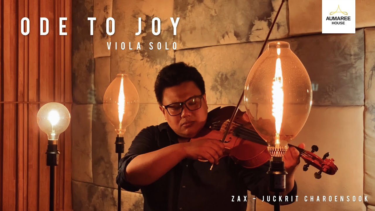 Ode to Joy | Viola Solo