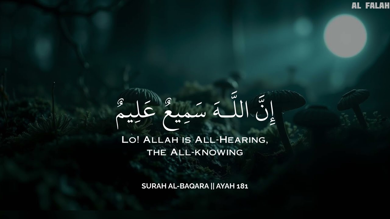 أرح سمعك.. تلاوة هادئة تريح القلب والعقل🖤💟😴 | ساعة كاملة🕛🎧 القارئ محمد هشام | Mohamed Hesham